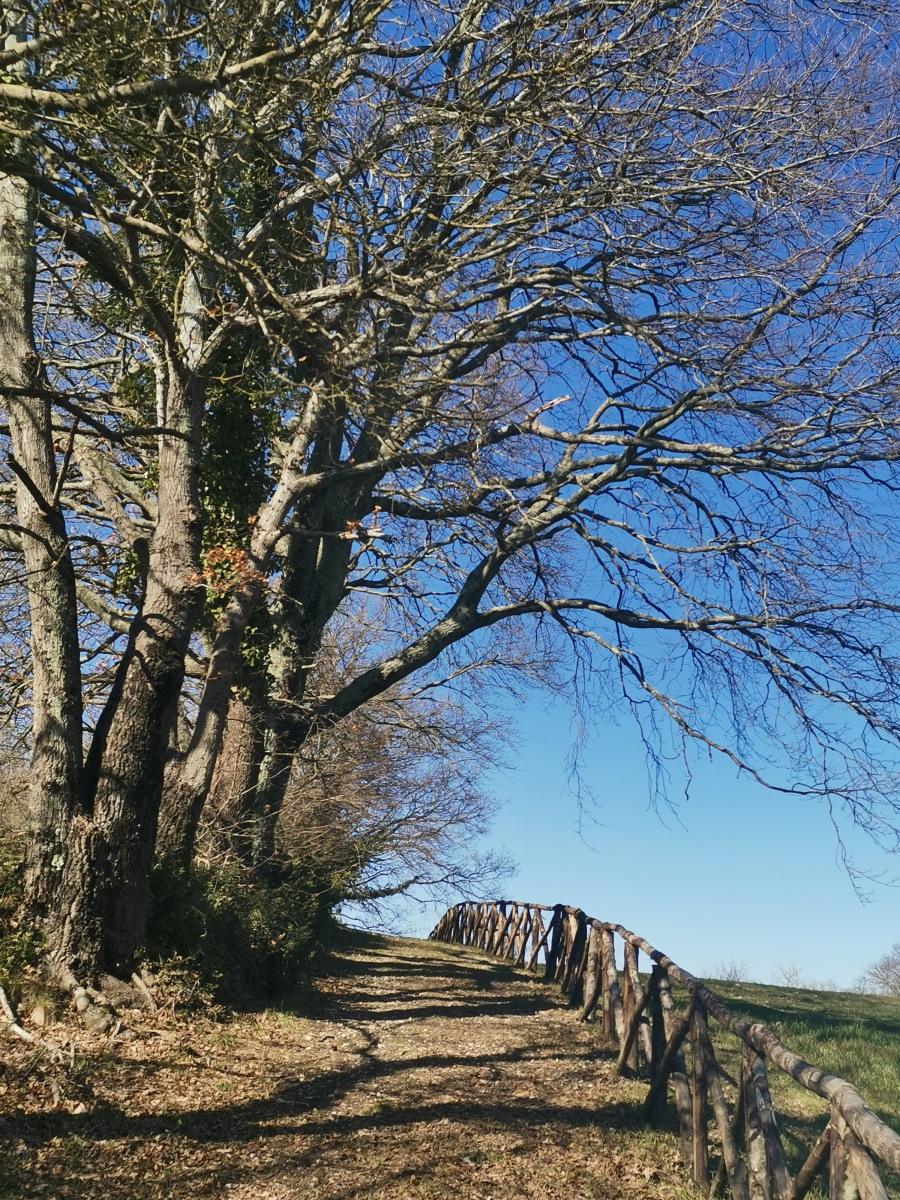 Percorso 19 Km